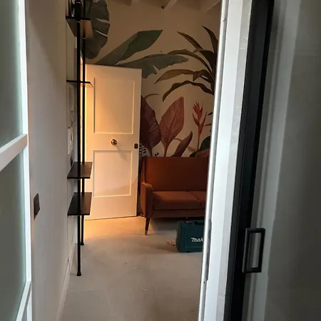 Apartment Jungle Flat *