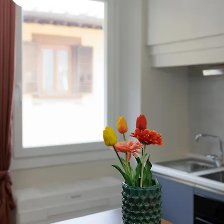 Lägenhet Jungle Flat *