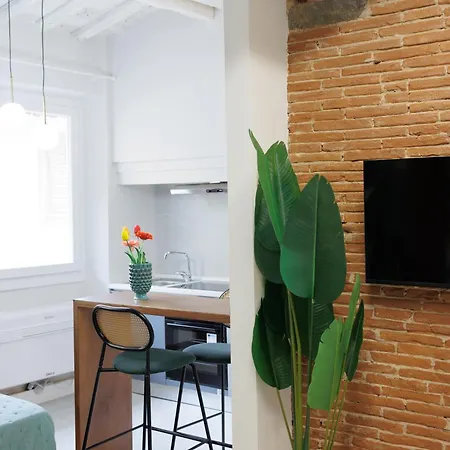 Lägenhet Jungle Flat