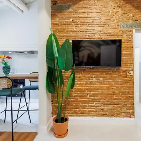 Apartment Jungle Flat