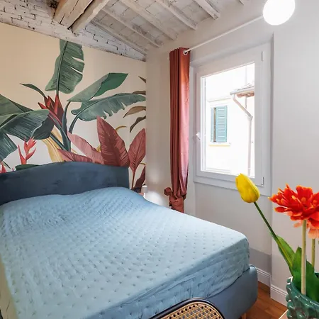 Lägenhet Jungle Flat