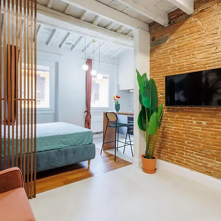 Jungle Flat Florencia